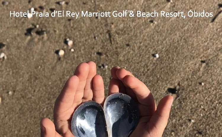  II Update Cardiovascular do Tejo 2018